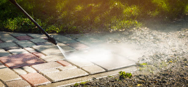 Best Brick and Stone Cleaning in Roselawn, IN